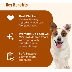 Nutrish Soup Bones Minis with Real Chicken & Veggies Chews Dog Treats, 16 count (Rachael Ray)