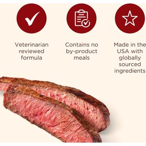 Nutrish Burger Bites, Beef Burger with Bison Grain-Free Dog Treats, 12-oz bag (Rachael Ray)