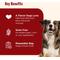 Show in main carousel: Rachael Ray Nutrish Burger Bites, Beef Burger with Bison Grain-Free Dog Treats, 12-oz bag slide 4 of 12