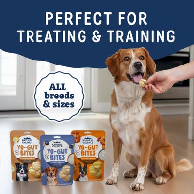 Show full view: Natural Balance Yo-Gut Bites with Peanut Butter & Banana Crunchy Dog Treats, 10-oz bag slide 9 of 9