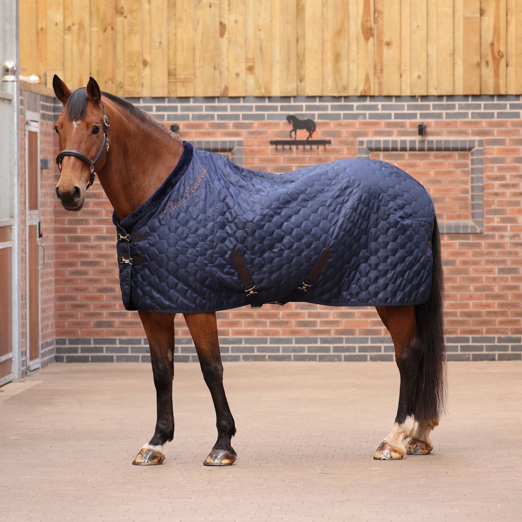 Shires Equestrian Products Deluxe Quilted Horse Rug, Navy, 78-in