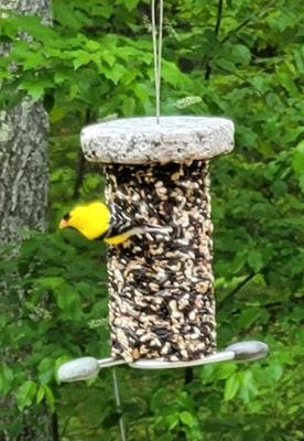 Show full view: Sea Stones Feast Lifetime Seed Cylinder Hanging Stainless Steel Songbird Feeder, Natural slide 3 of 8