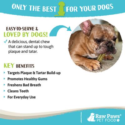 Show full view: Raw Paws Mint Dental Dog Treats, 26-oz slide 6 of 7