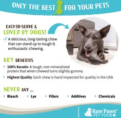 Raw Paws Water Buffalo Horns Dog Treats, Medium, 4 count slide 2 of 6