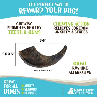 Show full view: Raw Paws Water Buffalo Horns Dog Treats, Medium, 4 count slide 4 of 7