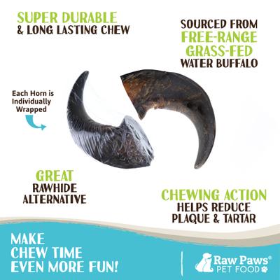 Show full view: Raw Paws Water Buffalo Horns Dog Treats, Medium, 4 count slide 3 of 7
