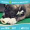 Show in main carousel: Raw Paws Filled Cow Femurs 3 to 4-in Peanut Butter Dog Bones, 6 count slide 6 of 7