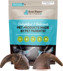 Raw Paws Water Buffalo Horns Dog Treats, Small, 5 count