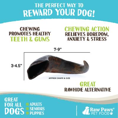Show full view: Raw Paws Water Buffalo Horns Dog Treats, Large, 2 count slide 4 of 7