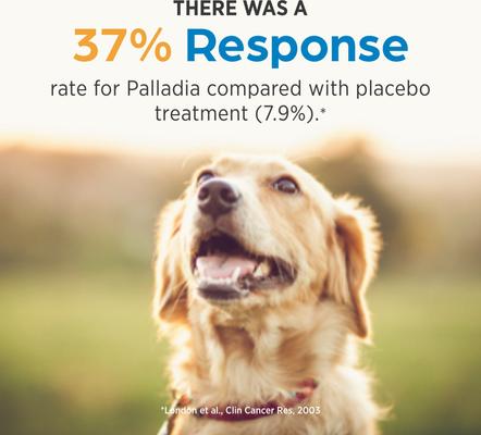 Show full view: Palladia (toceranib phosphate) Tablets for Dogs, 10-mg, 1 tablet slide 5 of 9