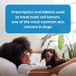 Palladia (toceranib phosphate) Tablets for Dogs, 10-mg, 1 tablet slide 2 of 6