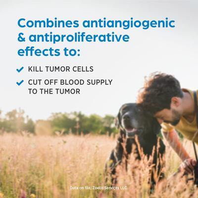 Show full view: Palladia (toceranib phosphate) Tablets for Dogs, 10-mg, 1 tablet slide 4 of 9