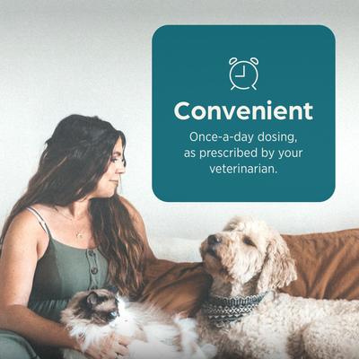 Show full view: Zeniquin (marbofloxacin) Tablets for Dogs & Cats, 50-mg, 1 tablet slide 7 of 10