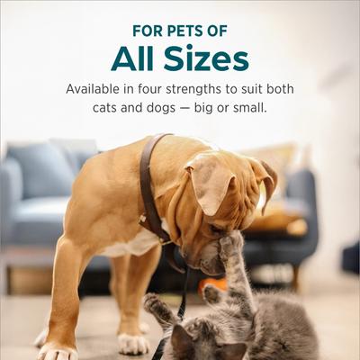 Show full view: Zeniquin (marbofloxacin) Tablets for Dogs & Cats, 50-mg, 1 tablet slide 6 of 10