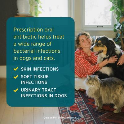 Show full view: Zeniquin (marbofloxacin) Tablets for Dogs & Cats, 50-mg, 1 tablet slide 4 of 10