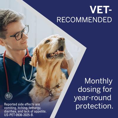 Show full view: NexGard Chewables for Dogs, 10.1-24 lbs, (Blue Box), 1 Chewable Tablet (1-mo. supply) slide 3 of 12