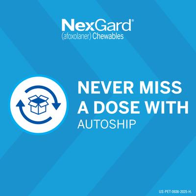 Show full view: NexGard Chewables for Dogs, 10.1-24 lbs, (Blue Box), 1 Chewable Tablet (1-mo. supply) slide 9 of 12