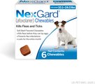 NexGard Chewables for Dogs, 10.1-24 lbs, (Blue Box), 6 Chewable Tablets (6-mos. supply)