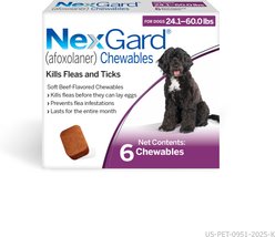 NexGard Chewables for Dogs, 24.1-60 lbs, (Purple Box), 6 Chewable Tablets (6-mos. supply)
