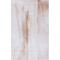 Show in main carousel: SAFAVIEH Tacoma Transitional Abstract Machine Washable Area Rug, Beige/Gold, 4 x 6-ft slide 3 of 10