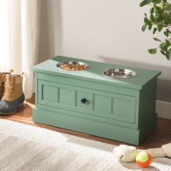 SAFAVIEH Boomer Elevated Dog Bowl Feeder with Drawer, Sage Green