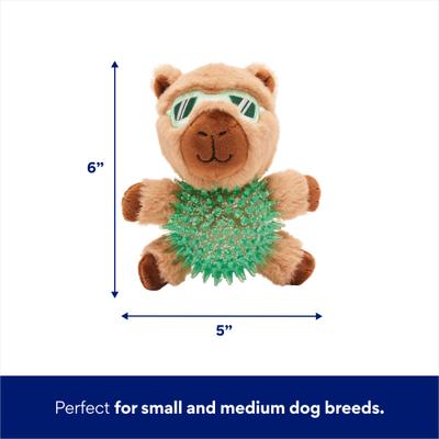 Show full view: Frisco Capybara Plush with TPR Ball Squeaky Dog Toy, Small/Medium slide 2 of 6