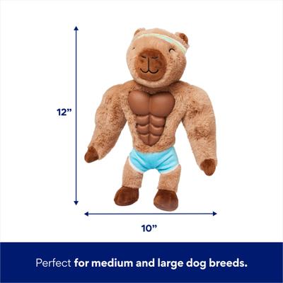 Show full view: Frisco Capybara Muscle Plush Squeaky Dog Toy, Medium/Large slide 2 of 5