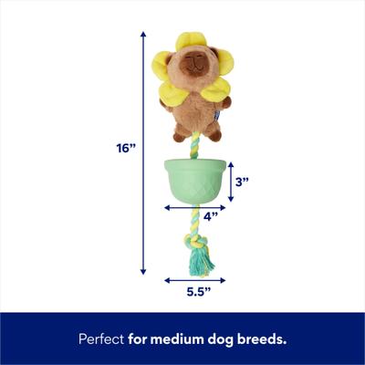 Show full view: Frisco Capybara Flower 3-in-1 Rubber, Rope & Plush Squeaky Dog Toy, Medium slide 2 of 5