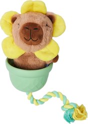 Frisco Capybara Flower 3-in-1 Rubber, Rope & Plush Squeaky Dog Toy, Medium