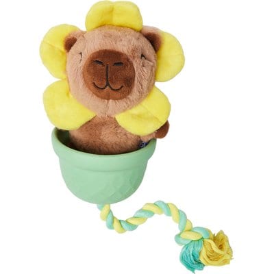 Frisco Frisco Capybara Flower 3-in-1 Rubber, Rope & Plush Squeaky Dog Toy, Medium