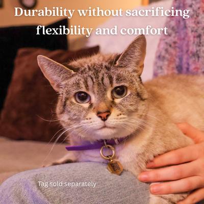 Show full view: Tailr Premium BioThane Dog Collar, Black, Small: 8 to 12-in neck, 3/8-in wide slide 3 of 7