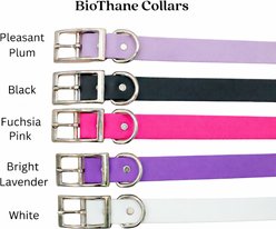 Tailr Premium BioThane Dog Collar, Black, Small: 8 to 12-in neck, 3/8-in wide slide 2 of 6
