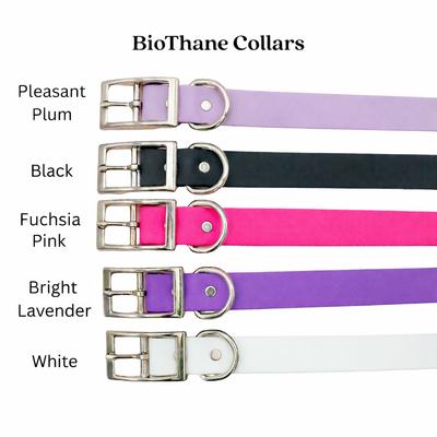 Show full view: Tailr Premium BioThane Dog Collar, Black, Small: 8 to 12-in neck, 3/8-in wide slide 4 of 7