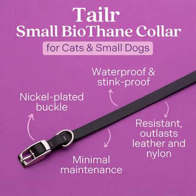 Show full view: Tailr Premium BioThane Dog Collar, Black, Small: 8 to 12-in neck, 3/8-in wide slide 2 of 7