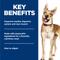 Show in main carousel: Hill's Science Diet Adult Healthy Cuisine Hearty Beef, Carrots & Peas Stew Wet Dog Food, 12.5-oz can, case of 12 slide 5 of 13