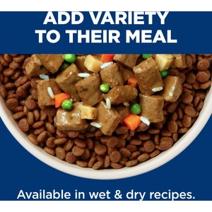 Hill's Science Diet Senior Adult 7+ Healthy Cuisine Roasted Chicken, Carrots & Spinach Stew Wet Dog Food, 12.5-oz can, case of 12