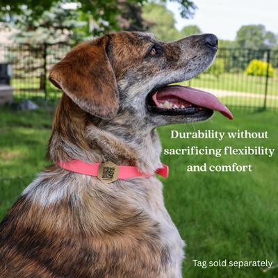 Show full view: Tailr Premium BioThane Dog Collar, White, Large: 15 to 18-in neck, 3/4-in wide slide 3 of 9