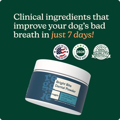 Show full view: Reggie Bright Bite Kelp Flavored Dental Powder Supplement for Dogs, 60 servings slide 3 of 10