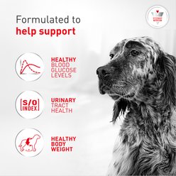Royal Canin Veterinary Diet Adult Glycobalance Loaf in Sauce Canned Dog Food, 13.4-oz, case of 24 slide 2 of 8
