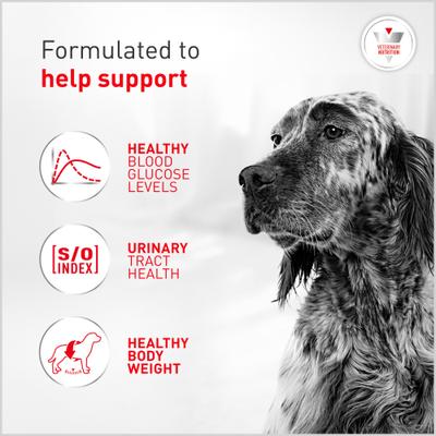 Show full view: Royal Canin Veterinary Diet Adult Glycobalance Loaf in Sauce Canned Dog Food, 13.4-oz, case of 24 slide 4 of 12