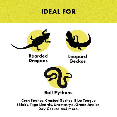 Show full view: Zilla Digital Terrarium Temperature Controller slide 5 of 10