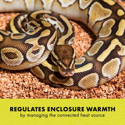 Show full view: Zilla Digital Terrarium Temperature Controller slide 3 of 10