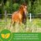 Show in main carousel: Farnam Vita Plus Balanced Multi-Vitamin & Mineral Pellets Horse Supplement, 3.75-lb tub slide 3 of 7