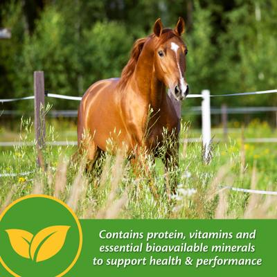 Show full view: Farnam Vita Plus Balanced Multi-Vitamin & Mineral Pellets Horse Supplement, 3.75-lb tub slide 3 of 7