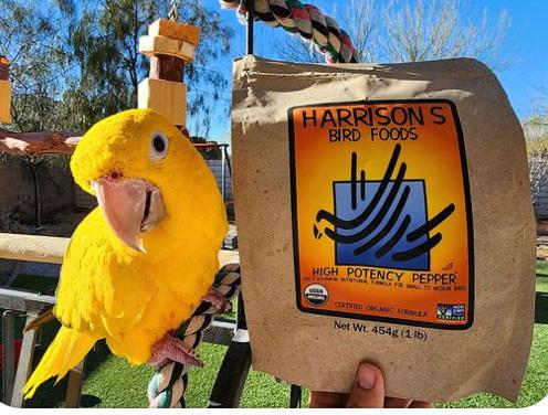 Show full view: Harrison's Bird Foods High Potency Pepper Organic Pellet Bird Food, 1-lb bag slide 8 of 8