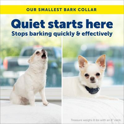 Show full view: PetSafe NanoBark 2.0 Waterproof Dog Bark Collar, Navy Blue slide 2 of 11