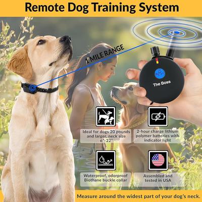 Show full view: Educator By E-Collar Technologies The Boss 1 Mile Range Waterproof Dog Training Collar, 1 collar slide 3 of 12