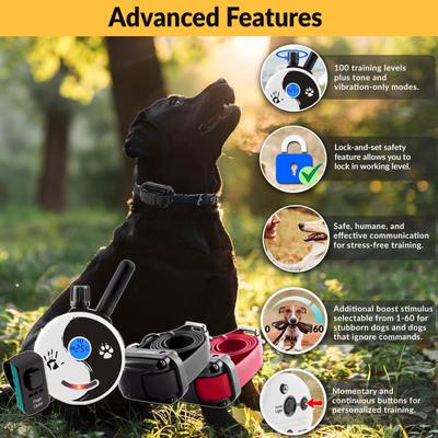 Show full view: Educator By E-Collar Technologies Zen 1/2 Mile Range Remote Dog Training Collar, 2 collars slide 2 of 11