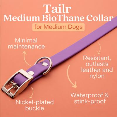 Show full view: Tailr Premium BioThane Dog Collar, Bright Lavender, Medium: 12 to 15-in neck, 5/8-in wide slide 2 of 9
