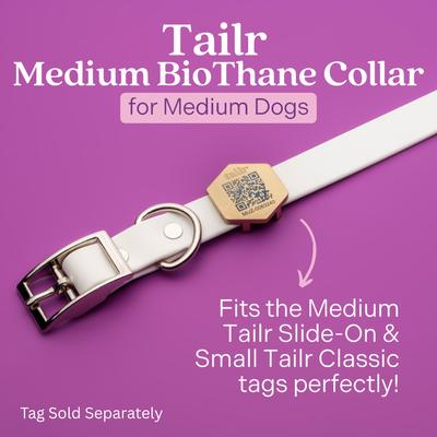Show full view: Tailr Premium BioThane Dog Collar, White, Medium: 12 to 15-in neck, 5/8-in wide slide 7 of 9